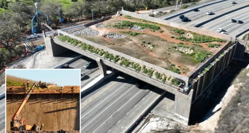 Agoura Road closed due to Wallis Annenberg Wildlife Crossing