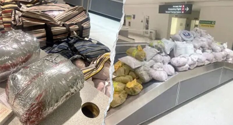 CBP officers seize nearly 850 pounds of khat packed into 12 suitcases after flight from London