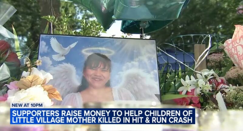 Community mourns Belesda Toledo, mother killed in Little Village, Chicago hit-and-run crash near 25th Street and Hamlin Avenue