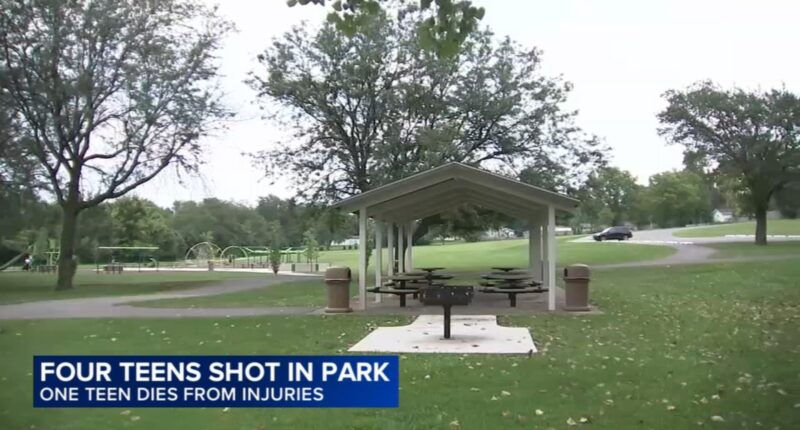 Crest Hill shooting: Kamarion Coleman killed, 3 injured at Crest Hill Memorial Park in 1900-Block of Willow Court, officials say