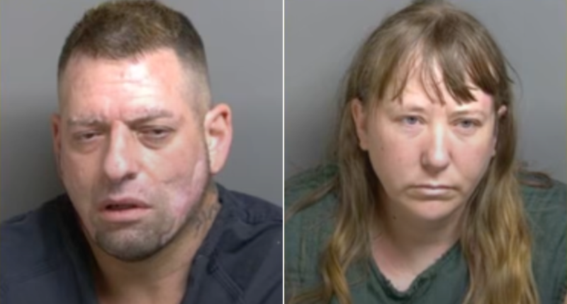 Detroit-area couple accused of throwing explosive device with alarming 2-word message into neighbor's yard