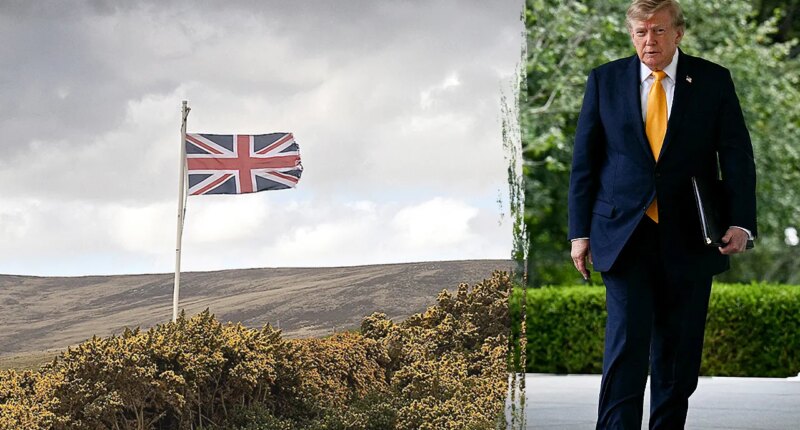 Ex-Pentagon official urges US to ‘squeeze’ UK on defense amid Falklands furor