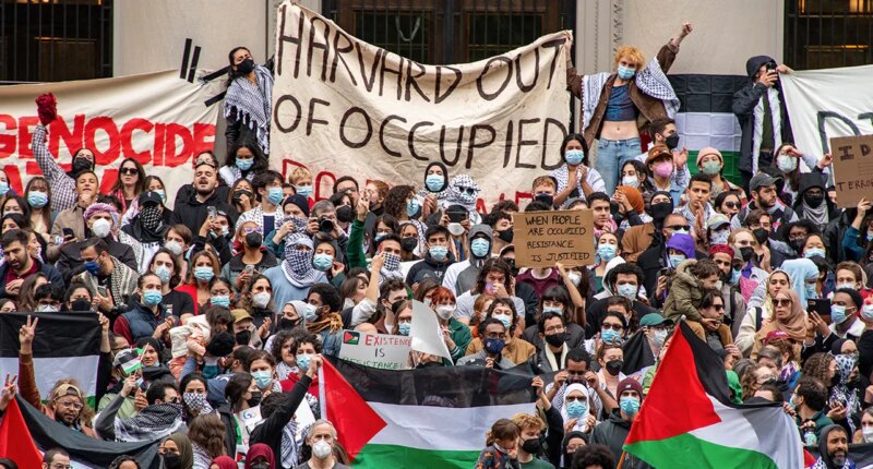 Fox News Campus Radicals Newsletter: Socialist streamer scrapped, a campus hate alert and coddled college kids