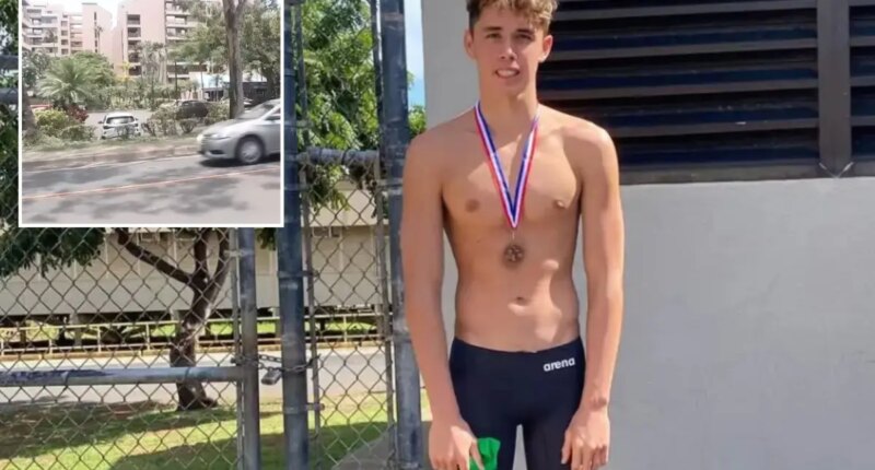Hawaii naked swimmer Legend Storer killed security guard Michael Dyer at Maui resort