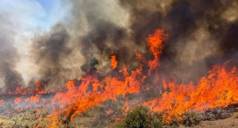 Helicopter fighting Utah wildfire crashes, no word on 2 people aboard