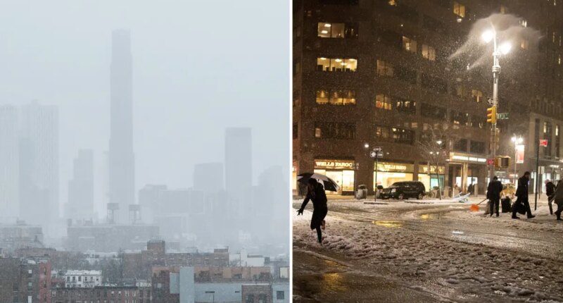 Here's what NYC can expect from brewing powerful Super El Nino