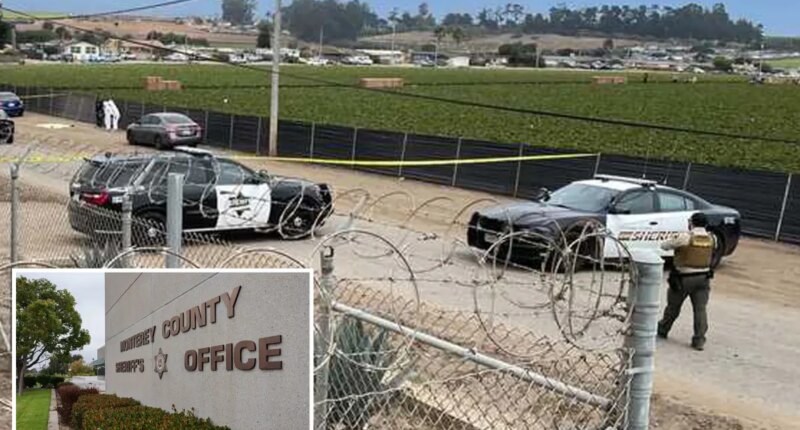 Human remains, including infant, discovered in Monterey County
