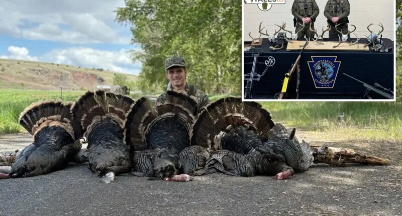 Hunting addict ordered to shoot TikTok apology as poaching probe finds 115 lbs of illegal turkey meat