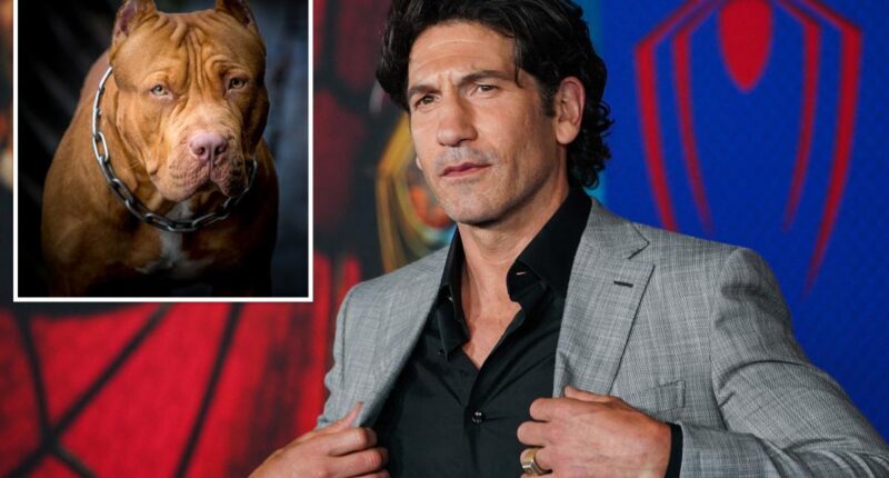 Jon Bernthal blames 'dog racism' for pit bulls' bad reputation