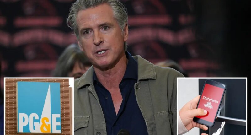 Legislators block Newsom's attempt to stop insurers from suing utility companies that cause wildfires