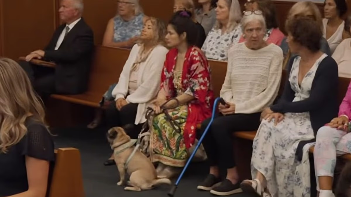 Lindsay Clancy Spectator Sparks Outrage for Dog in Court