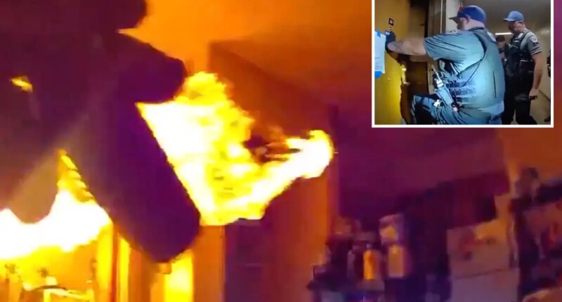 Man uses flamethrower on cops serving eviction notice in video