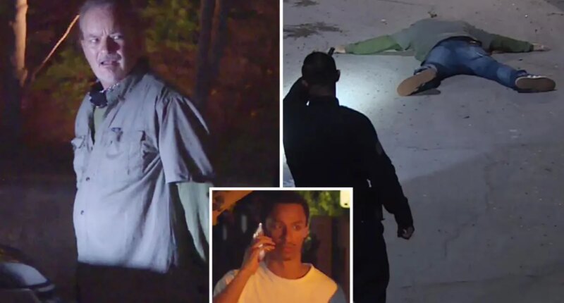 Man with dog caught prowling Nia Long's Hollywood Hills mansion