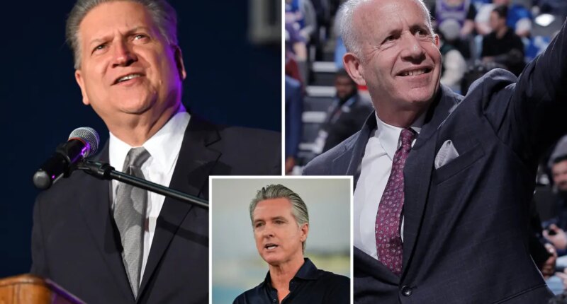 Masterminds behind California Forever plea for Gavin Newsom's help