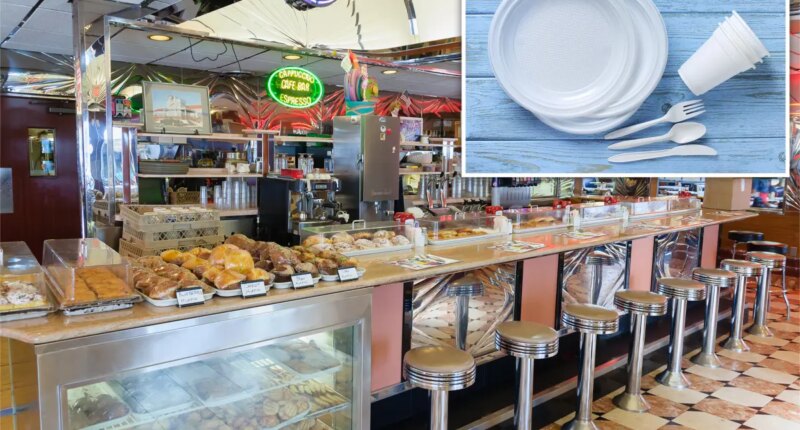 NJ diners fume over new 'Skip the Stuff' law affecting take-out orders