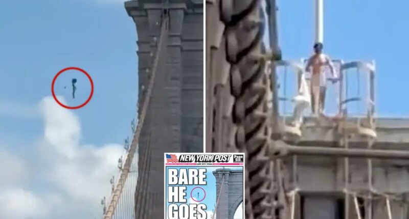 Naked nutjob who leaped from Brooklyn Bridge and miraculously survived identified