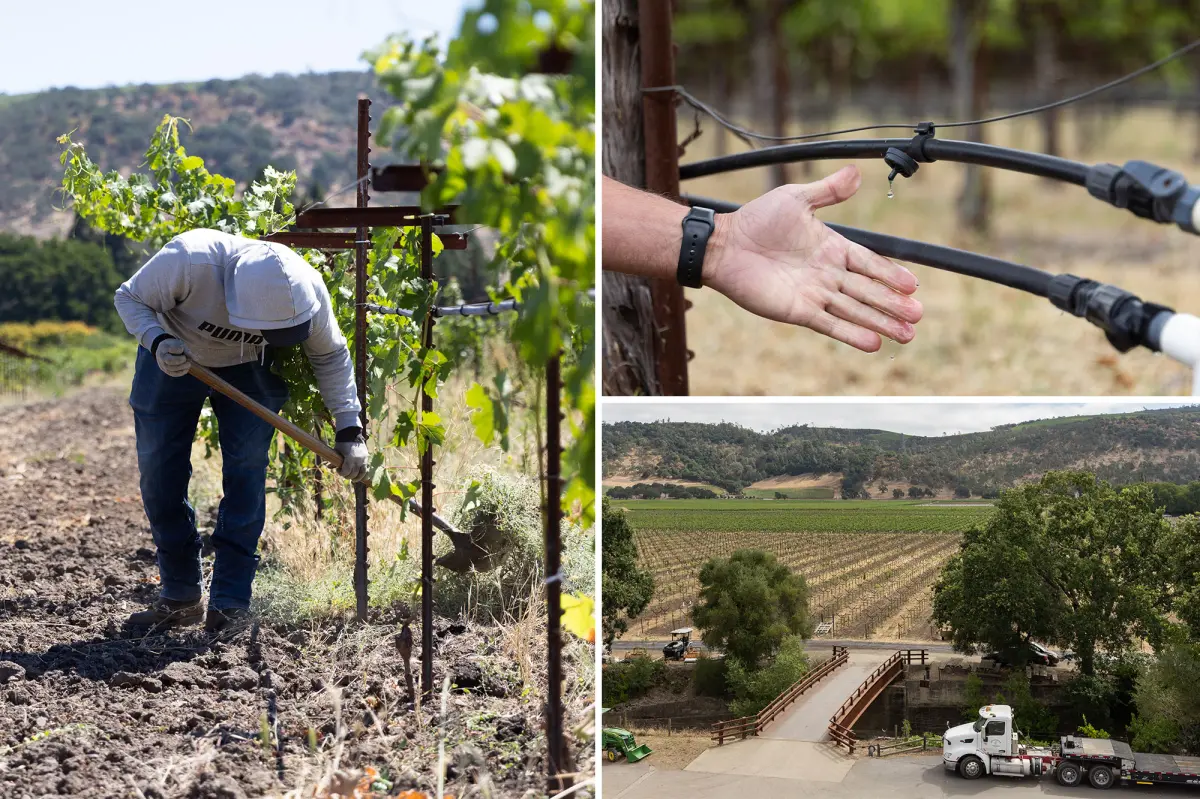 Napa Valley Winegrowers Face New Water Sustainability Fees