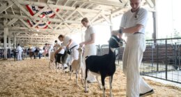 North Carolina warns mobile petting zoo visitors of rabies exposure after baby goats test positive