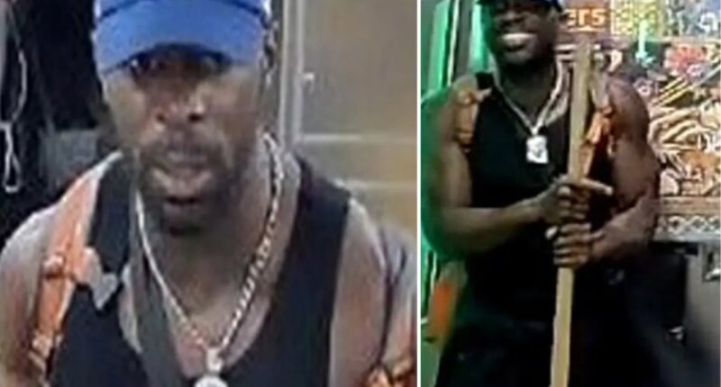 Smiling nut whacks straphanger with gardening tool on NYC subway