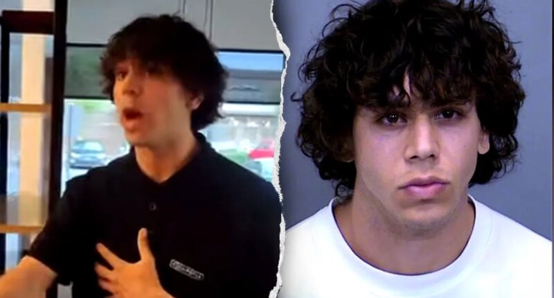 Social media influencer pleads guilty after prank videos at Arizona Chipotle, other businesses
