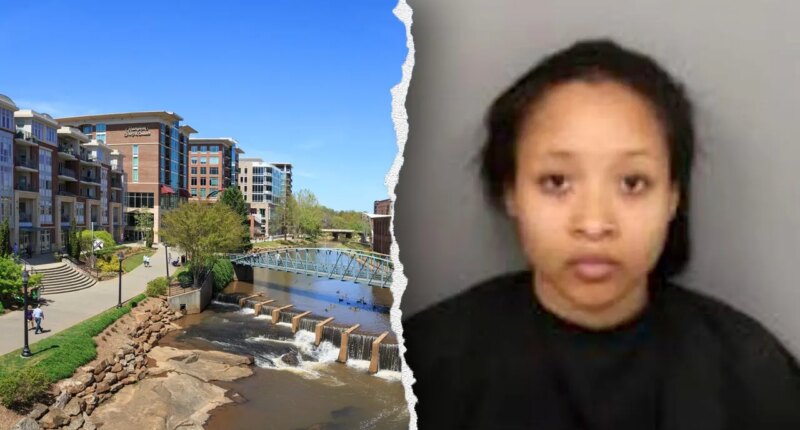 South Carolina woman accused of stabbing Lyft driver 11 times claims mental health crisis