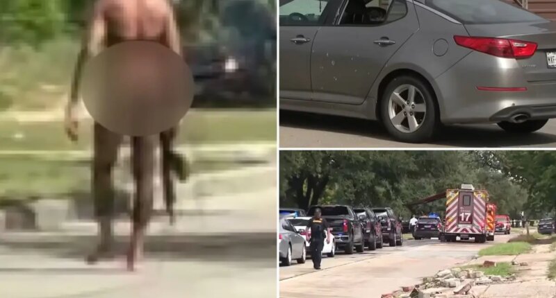 Texas police shoot gunman who fired at vehicles in Houston