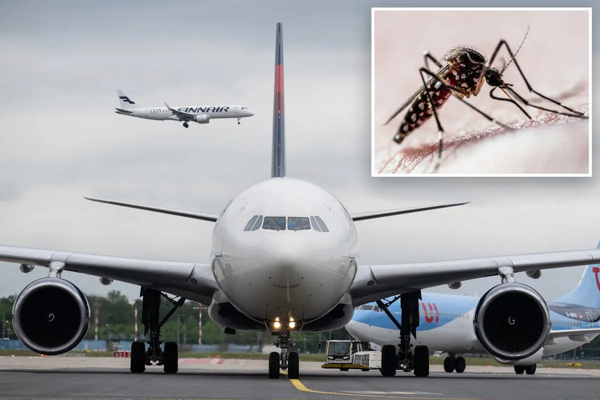 Malaria Deaths at Frankfurt Airport: Two Workers Killed After Mosquito Arrives on Plane