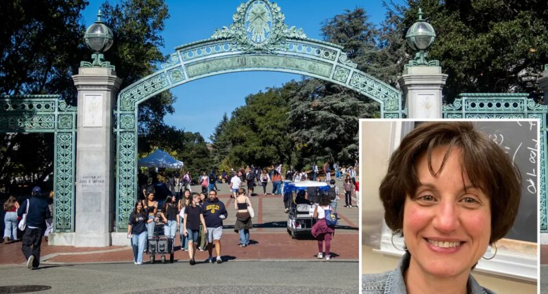 UC-Berkeley math prof forced to teach fractions because standards have fallen so far