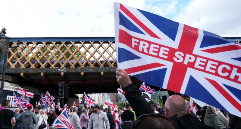 UK ‘in free fall’ on free speech, expert warns as British MP brands Trump admin grant 'MAGA money meddling'
