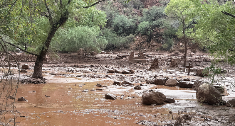 Urgent search underway for more than 20 people after Grand Canyon flash flood