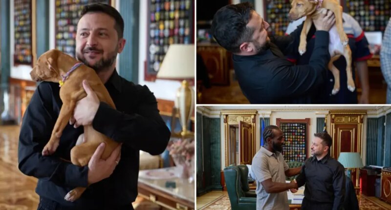 Zelensky cuddles puppy, starting new volley in Ukraine's war of visuals against Russia