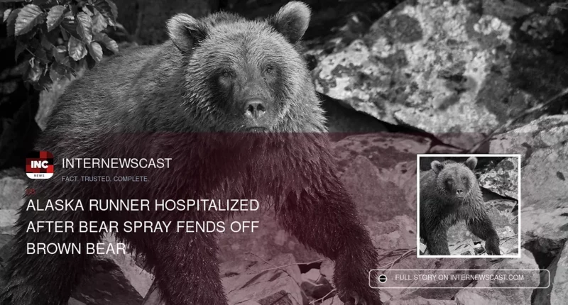 Alaska Runner Hospitalized After Bear Spray Fends Off Brown Bear - Internewscast Journal