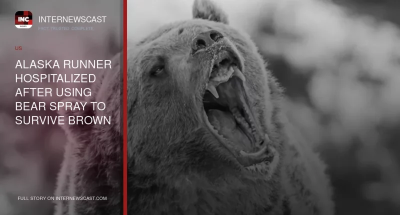 Alaska Runner Hospitalized After Using Bear Spray to Survive Brown Bear Encounter on Trail - Internewscast Journal