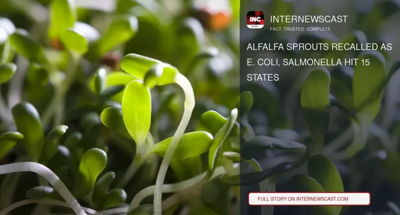 Alfalfa Sprouts Recalled as E. Coli, Salmonella Hit 15 States - Internewscast Journal