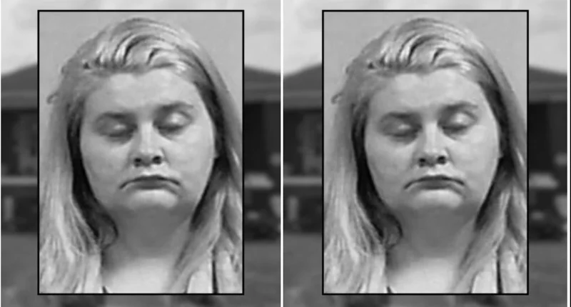 Babysitter Sentenced After Toddler Fatally Injured 11-Day-Old Newborn While Mother Was Hospitalized - Internewscast Journal
