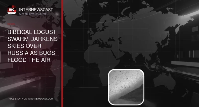 Biblical Locust Swarm Darkens Skies Over Russia as Bugs Flood the Air - Internewscast Journal