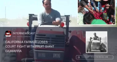 California Farmer Loses Court Fight With Fruit Giant Giumarra - Internewscast Journal