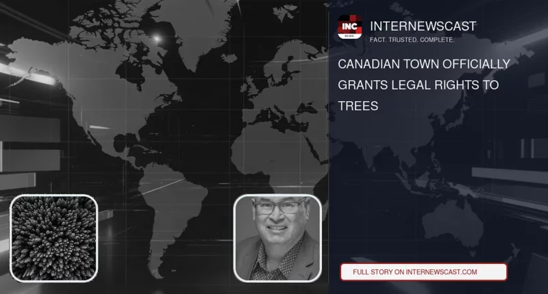 Canadian Town Officially Grants Legal Rights to Trees - Internewscast Journal