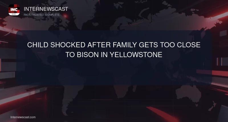 Child Shocked After Family Gets Too Close to Bison in Yellowstone - Internewscast Journal