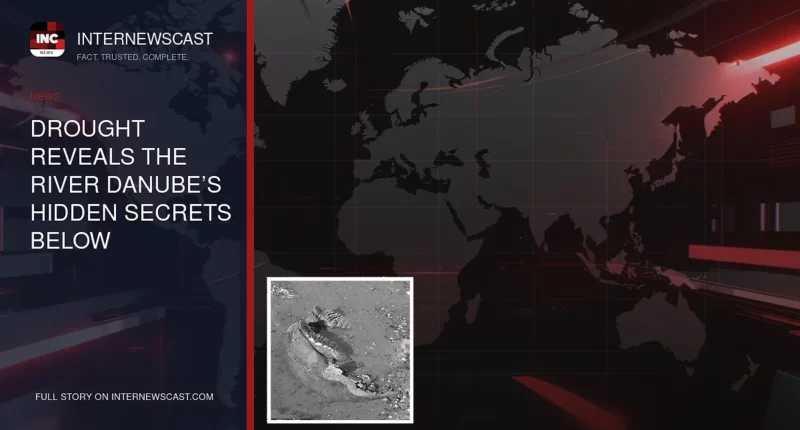 Drought Reveals the River Danube’s Hidden Secrets Below - Internewscast Journal