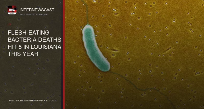 Flesh-Eating Bacteria Deaths Hit 5 in Louisiana This Year - Internewscast Journal