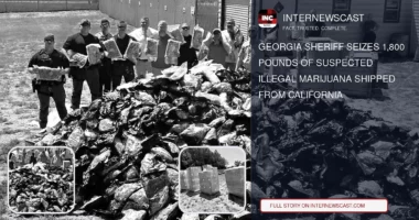 Georgia Sheriff Seizes 1,800 Pounds of Suspected Illegal Marijuana Shipped From California - Internewscast Journal