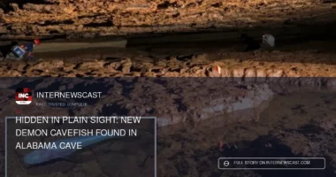 New Demon Cavefish Found in Alabama Cave - Internewscast Journal