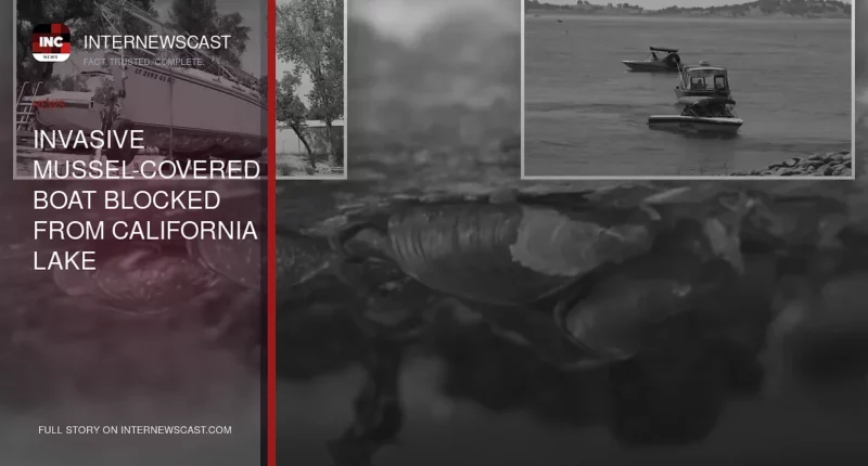 Invasive Mussel-Covered Boat Blocked From California Lake - Internewscast Journal