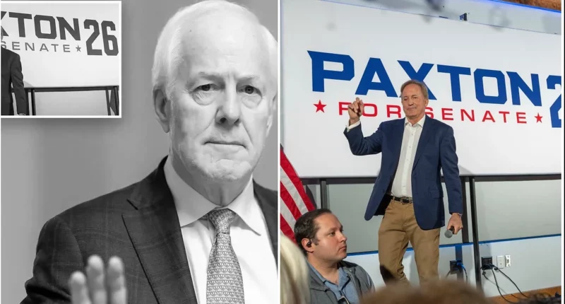 John Cornyn Rips Ken Paxton as Lazy, Poor Campaigner in Texas Senate Race - Internewscast Journal