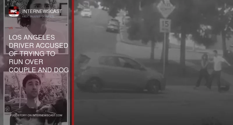 Los Angeles Driver Accused of Trying to Run Over Couple and Dog in Road-Rage Attack - Internewscast Journal