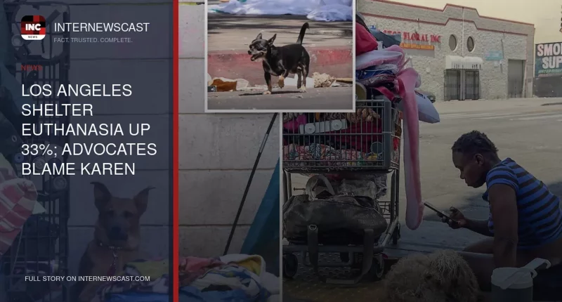 Los Angeles Shelter Euthanasia Up 33%; Advocates Blame Karen Bass - Internewscast Journal