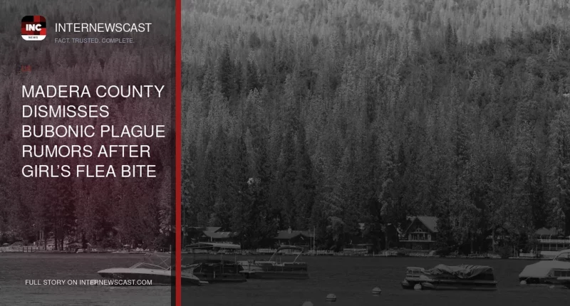 Madera County Dismisses Bubonic Plague Rumors After Girl’s Flea Bite at Bass Lake - Internewscast Journal