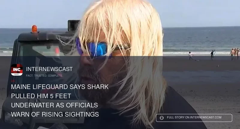 Maine Lifeguard Says Shark Pulled Him 5 Feet Underwater as Officials Warn of Rising Sightings - Internewscast Journal