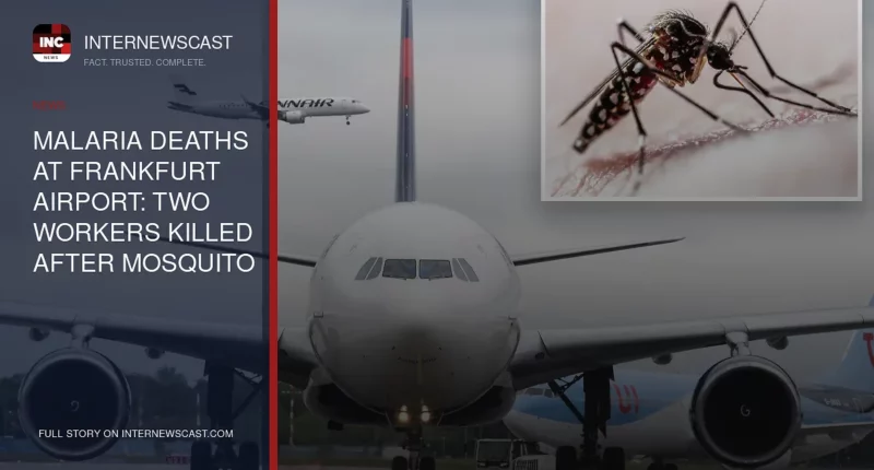 Malaria Deaths at Frankfurt Airport: Two Workers Killed After Mosquito Arrives on Plane - Internewscast Journal